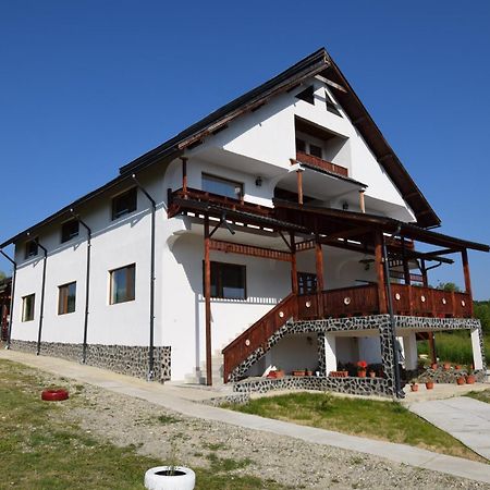 La Radacini Apartment Horezu Luaran gambar