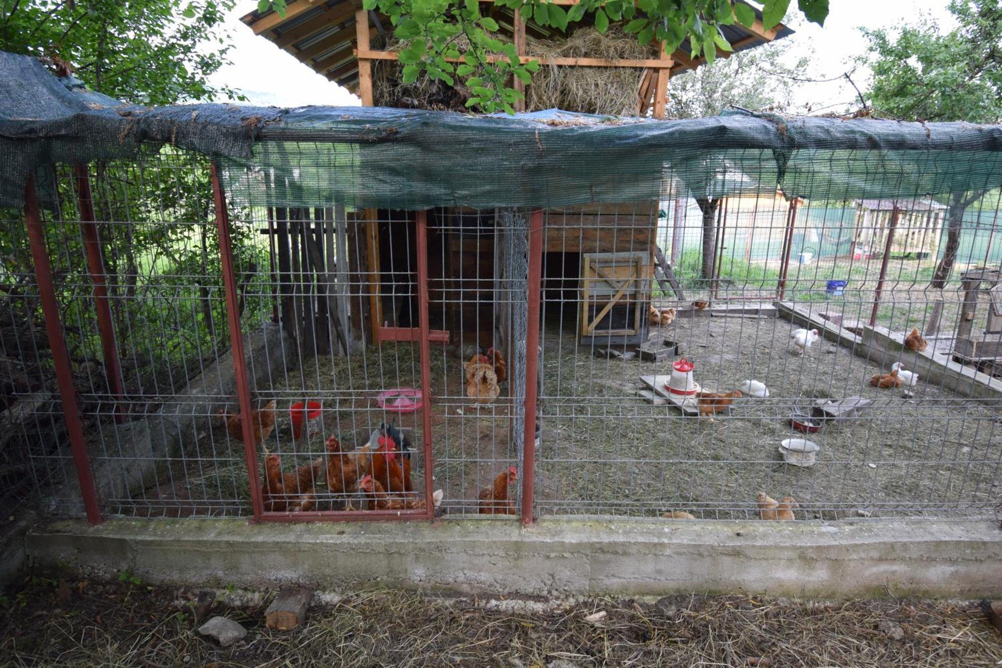 La Radacini Apartment Horezu Luaran gambar